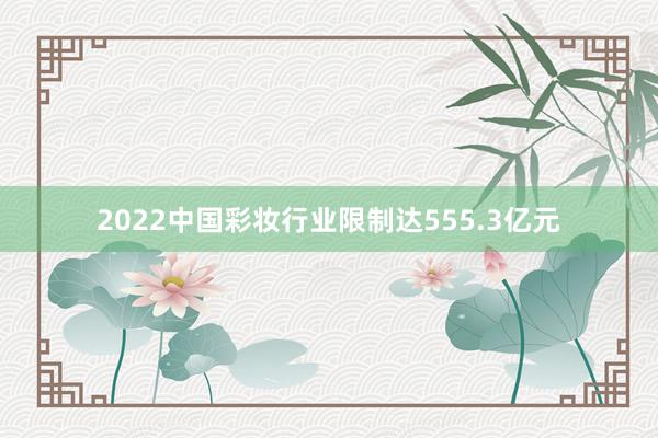 2022中国彩妆行业限制达555.3亿元